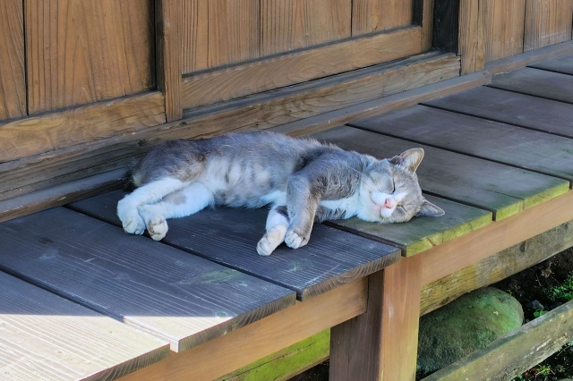 睡眠時間の理想は何時間？年齢別の目安と睡眠の質を高める方法【完全ガイド】